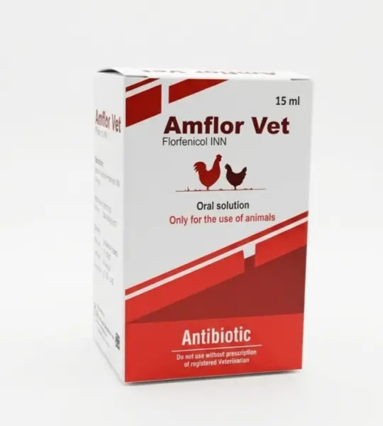 Amflor Vet (Florfenicol INN 25 mg/ml) – 15 ml Oral Solution