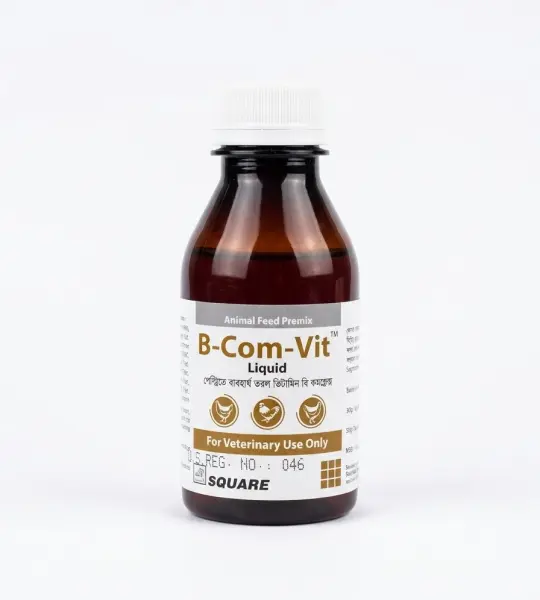 B-Com-Vit Liquid -100 ml.