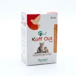 Koff Out Syrup-30 ml.