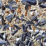 1 kg-Special Cockatiel & Lovebirds Seed Mix