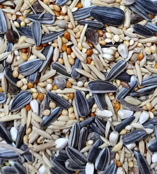 1 kg-Special Cockatiel & Lovebirds Seed Mix