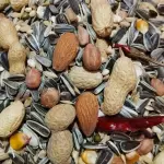 1 kg-Premium Parrot Seed Mix