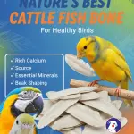 250 grms-Natural Marine Cuttlebone – Premium Calcium Supplement for Birds
