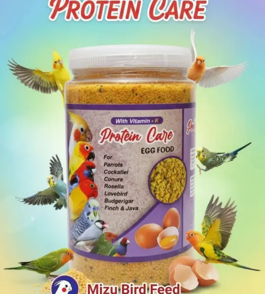 5oo grms-Protein Care Egg Food (With Vitamin-K)