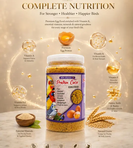 125 grms-Protein Care Egg Food (With Vitamin-K)