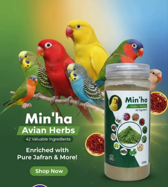 200 grms-Min'ha Avian Herbs - 42 Natural Ingredients