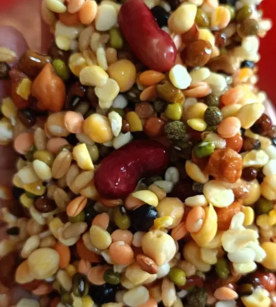 1 kg- Premium Raw Softfood for Birds